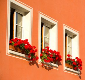 Auenfensterbnke