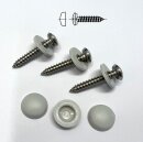 Fensterbankschrauben grau VPE 25
